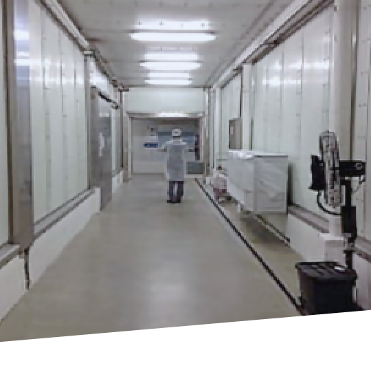 04_G50_72_critical assets P-2